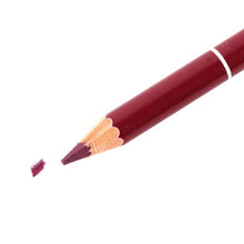 12pcsulti-color Party Queen Lip Liner Pencil Functional Eyebrow Eye Lip Makeup Waterproof Colorful Cosmetic Pen PY7 ILML