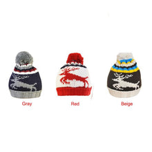Beautiful VersatileWomen Deer Crochet Wool Ball Hat Wool Knit Beanie Warm Cap ILML