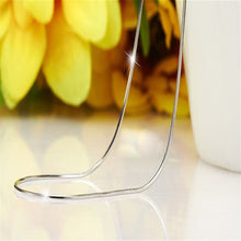 Delicate Silver Jewelry 1618202224 inch Mens Womens Snake Wild Classic Torques Necklace Wild  ILML