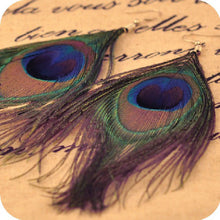 BOHO Style Peacock Feather Silvery Hook Women's Dangle Earrings Eardrop Whloesale ILML