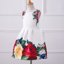 Baby Girls Dresses Kids Clothes Brand Children Dress for Girls Clothes Rose Flower Dobby Princess Dress Christmas 3-8Y PY2 ILML