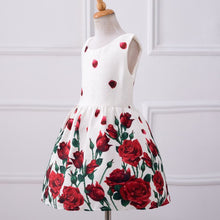 Baby Girls Dresses Kids Clothes Brand Children Dress for Girls Clothes Rose Flower Dobby Princess Dress Christmas 3-8Y PY2 ILML