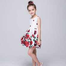 Baby Girls Dresses Kids Clothes Brand Children Dress for Girls Clothes Rose Flower Dobby Princess Dress Christmas 3-8Y PY2 ILML