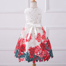 Baby Girls Dresses Kids Clothes Brand Children Dress for Girls Clothes Rose Flower Dobby Princess Dress Christmas 3-8Y PY2 ILML