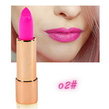 Brand Beauty Makeup Lipsticks with Mirror Waterproof Easy to Wear Lip Sticks Balm Cosmetic Matte Maquiagem ILML