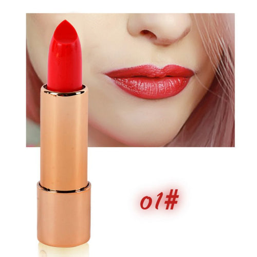 Brand Beauty Makeup Lipsticks with Mirror Waterproof Easy to Wear Lip Sticks Balm Cosmetic Matte Maquiagem ILML