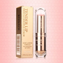 Makeup Nude Lipsticks Long Lasting Cosmetic Waterproof Lip Stick Pencil  ILML