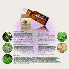 Health Skin Care Herbal Nail Repair Treatment Essential Oil Onychomycosis Remover Serum Beauty Disinfect L4 ILML