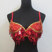 Pteris Belly Dance Beaded Crystal Sequin Bra Top Wine Bar Nightclub Rave DJ Dancewear 9 Colors ILML