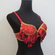 Pteris Belly Dance Beaded Crystal Sequin Bra Top Wine Bar Nightclub Rave DJ Dancewear 9 Colors ILML