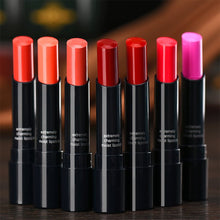 Long Lasting Waterproof 14 Color Rouge Lipsticks Lip Makeup Cosmetic Ruby Woo Lipstick Matte Sexy Lip Stick PY2 ILML