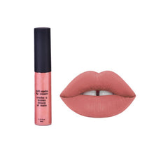 Makeup Waterproof Matte Velvet Liquid Lipstick Long Lasting Lip Gloss Cosmetics  ILML