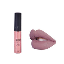 Makeup Waterproof Matte Velvet Liquid Lipstick Long Lasting Lip Gloss Cosmetics  ILML