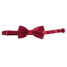 Men Tuxedo Wedding Bowties Charmeuse Adjustable Satin Party Classic Bow Ties Necktie ILML