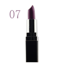 Multi-Color Sexy Lipstick Waterproof Lip Pencil Beauty Lip Rouge Glosakeup PY1 P18 ILML