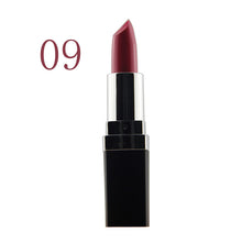 Multi-Color Sexy Lipstick Waterproof Lip Pencil Beauty Lip Rouge Glosakeup PY1 P18 ILML