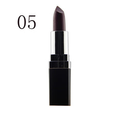 Multi-Color Sexy Lipstick Waterproof Lip Pencil Beauty Lip Rouge Glosakeup PY1 P18 ILML