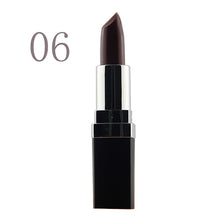 Multi-Color Sexy Lipstick Waterproof Lip Pencil Beauty Lip Rouge Glosakeup PY1 P18 ILML