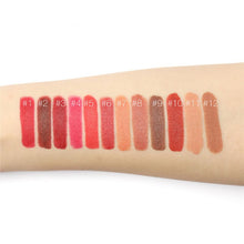 12 Colors Set Moisturizing Matte Liquid Lipstick Lip Gloss Stick Makeup Cosmetic ILML